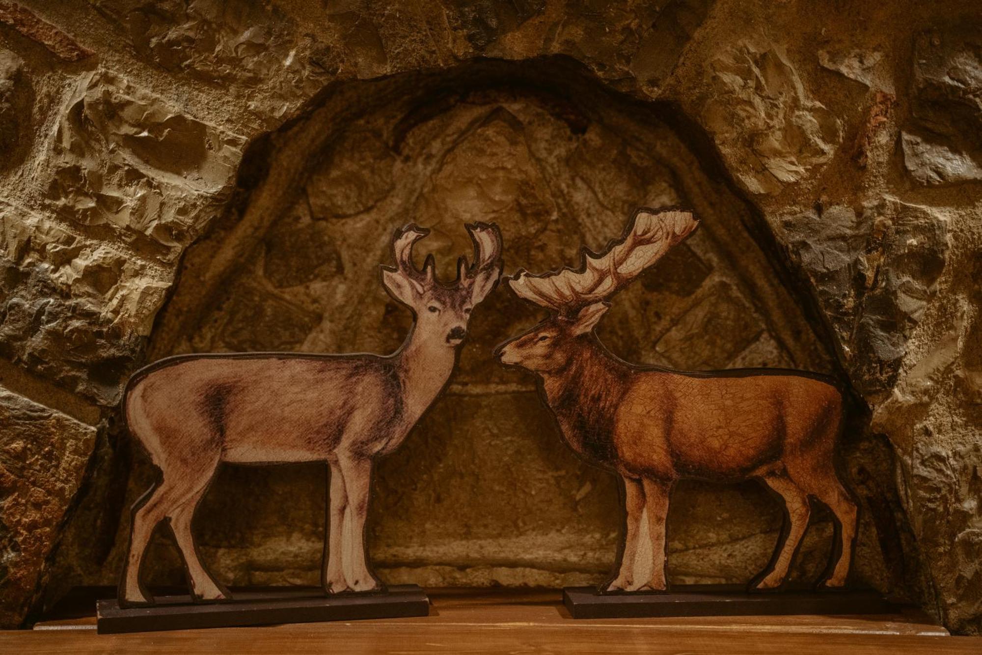 Afanos Guesthouse Arachova Cameră foto